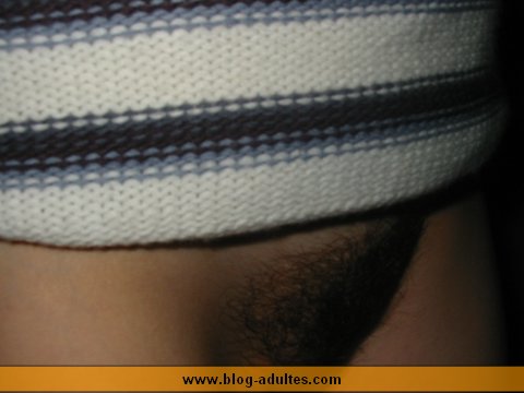 Poils de sexe